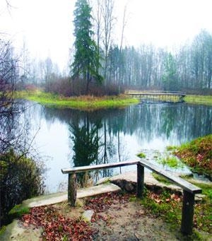 Landscape of the park "Repikhovo"